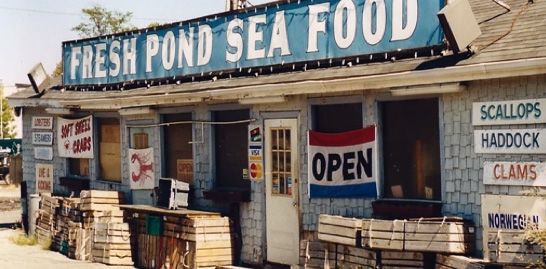 tumblr_n1f0qfem5Z1ttj5ufo5_r1_1280