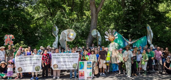 Silver Maple Forest rally in June (photo by David Mussina)