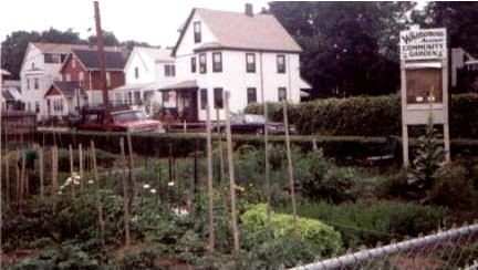 Whittemore Garden in 1997 (photo by Elissa Malcohn)