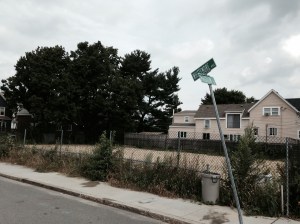 Insult to injury: the garden is buried in a layer of sand.
