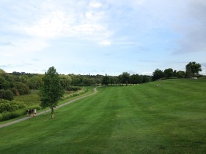 Danehy Park looking north