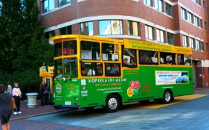 All aboard for Alewife!