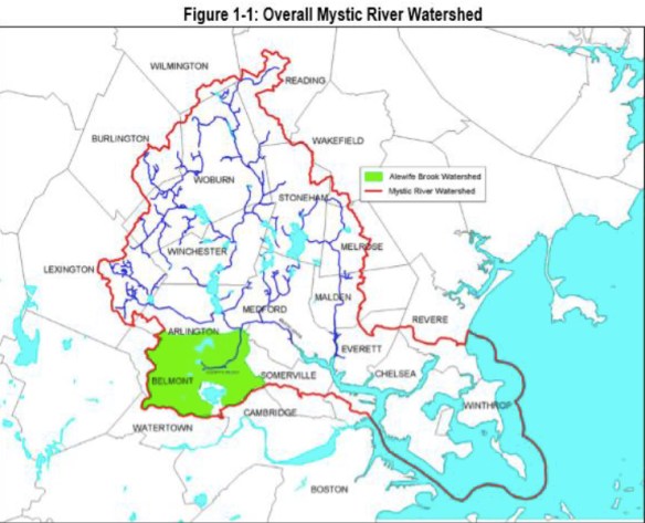 Mystic River floodplain