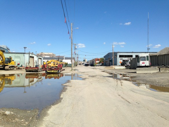 What will this area near Alewife look like in 20 years?